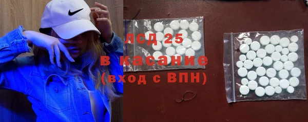 ешки Алексин