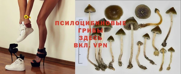 ешки Алексин