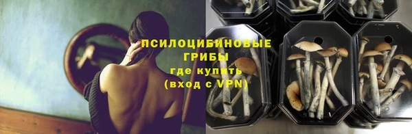 спайс Абаза