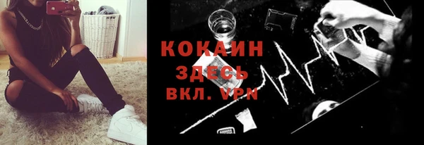 ешки Алексин