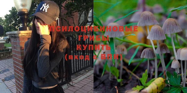 герыч Алексеевка