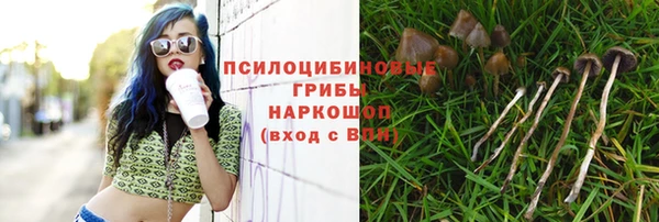 спайс Абаза