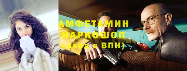ешки Алексин
