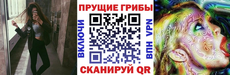 Псилоцибиновые грибы GOLDEN TEACHER  Духовщина 